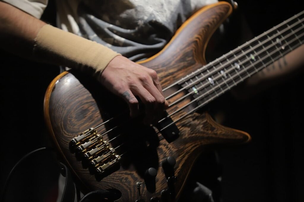 bass guitar, musical performance, concert
