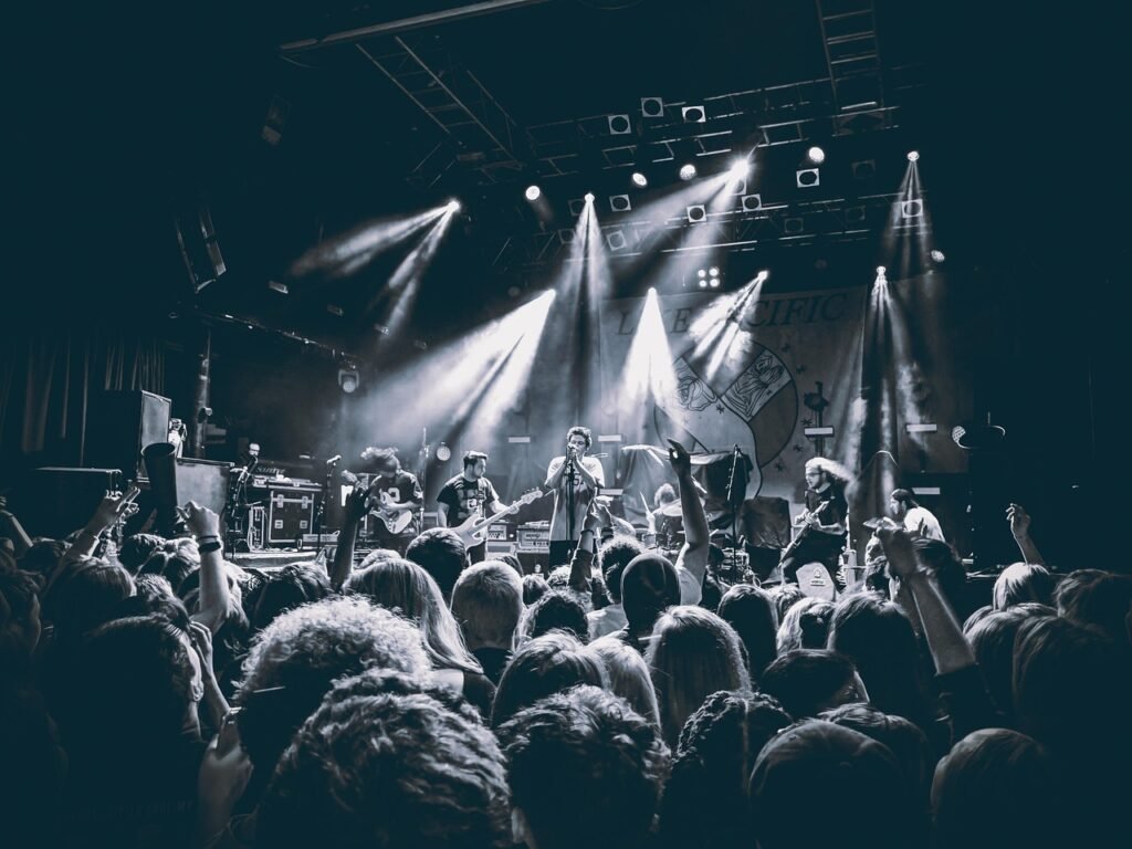 gig, concert, show